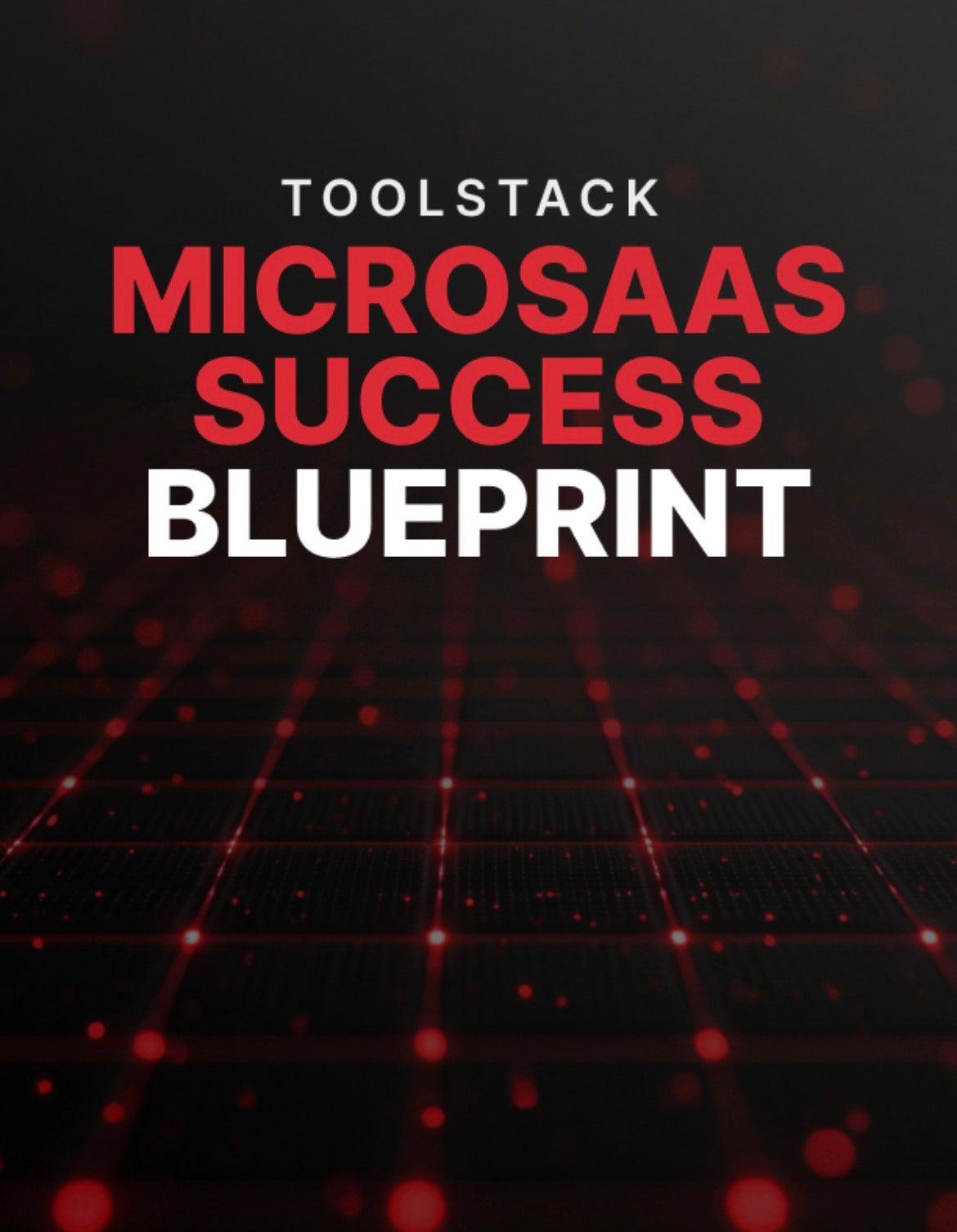 MicroSaaS Success Blueprint